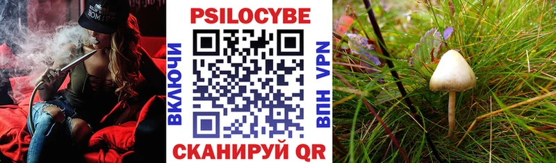 Галлюциногенные грибы мицелий  наркота  Серафимович 